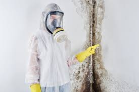 Best Forensic Mold Investigation  in Reed Creek, GA